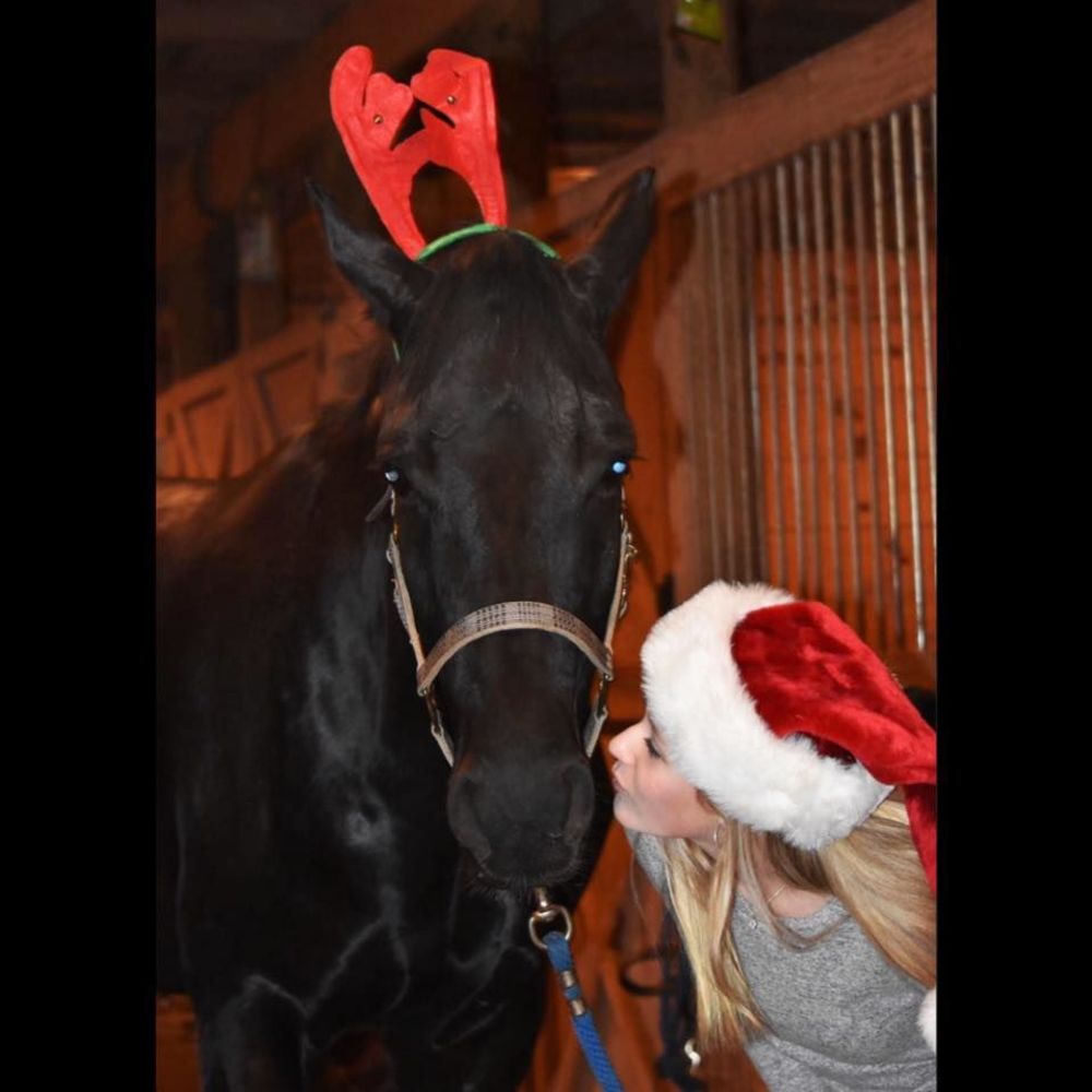 Meet your Posher, Shannon